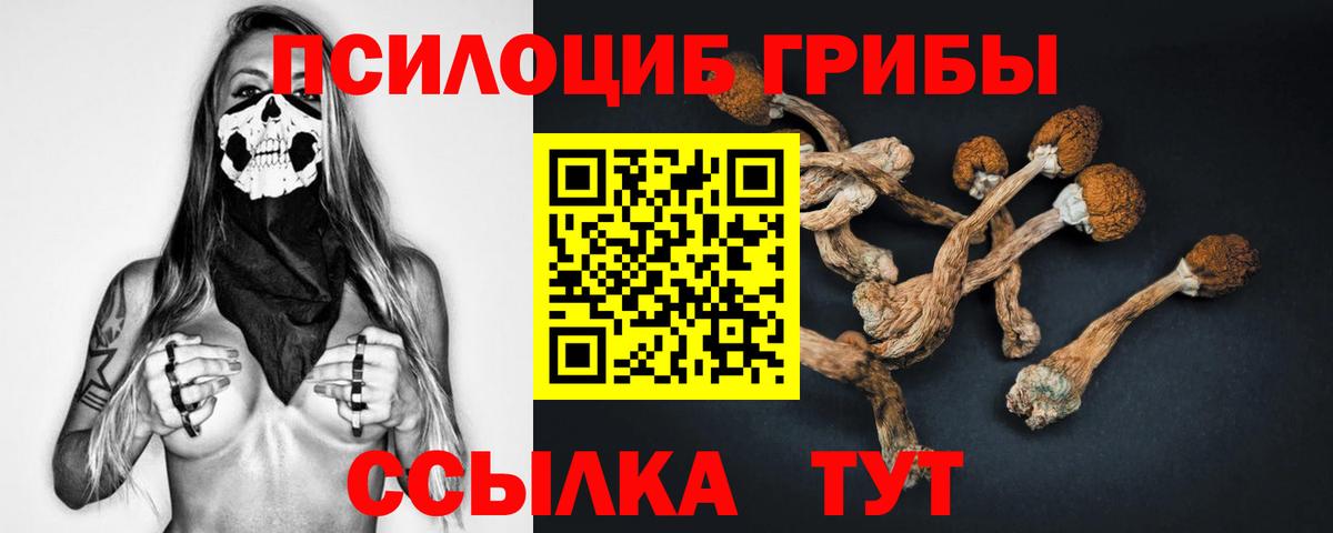 Галлюциногенные грибы Magic Shrooms Ярцево