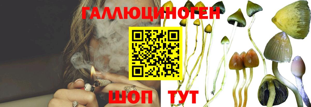 купить  цена  Вход с VPN  Ярцево  Псилоцибиновые грибы мухоморы  Галлюциногенные грибы Magic Shrooms 